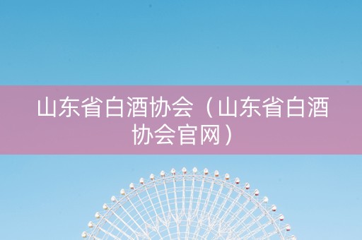 山东省白酒协会（山东省白酒协会官网）