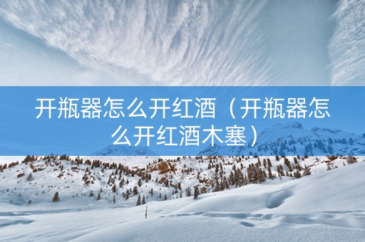 开瓶器怎么开红酒（开瓶器怎么开红酒木塞）