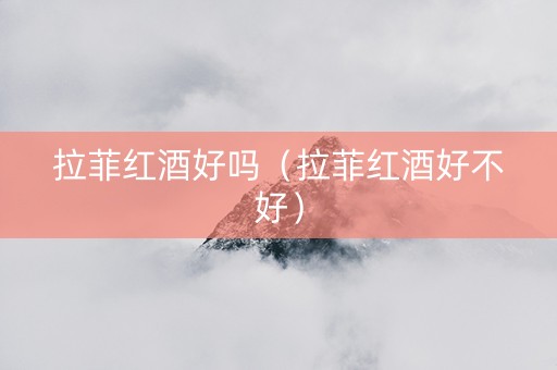 拉菲红酒好吗（拉菲红酒好不好）