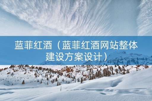 蓝菲红酒（蓝菲红酒网站整体建设方案设计）