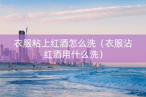 衣服粘上红酒怎么洗（衣服沾红酒用什么洗）