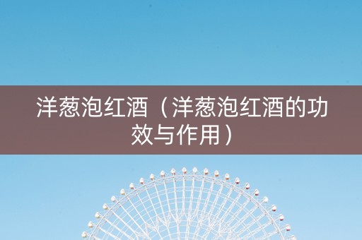 洋葱泡红酒（洋葱泡红酒的功效与作用）