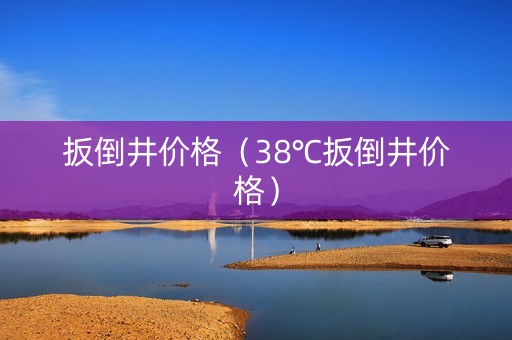 扳倒井价格（38℃扳倒井价格）