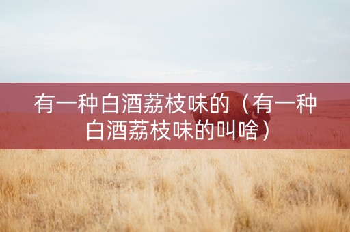 有一种白酒荔枝味的（有一种白酒荔枝味的叫啥）