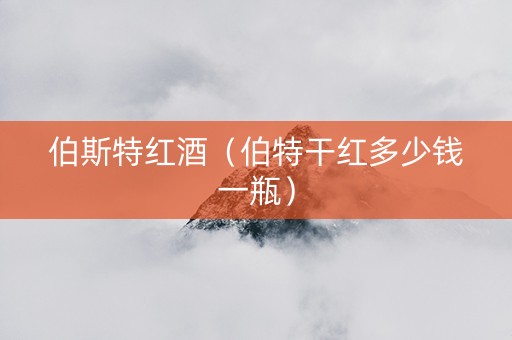 伯斯特红酒（伯特干红多少钱一瓶）