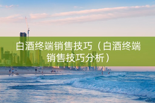 白酒终端销售技巧（白酒终端销售技巧分析）