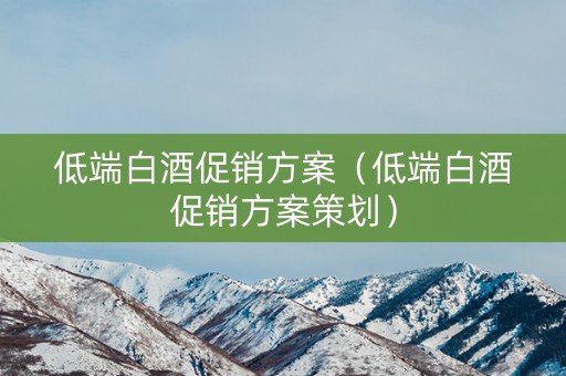 低端白酒促销方案（低端白酒促销方案策划）