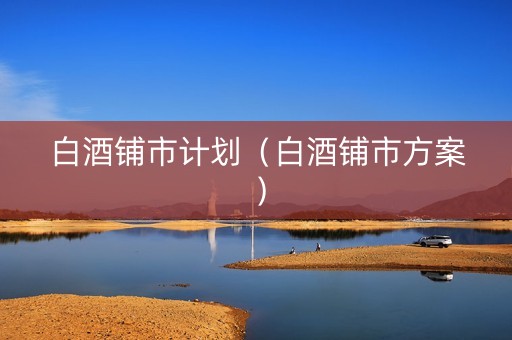 白酒铺市计划（白酒铺市方案）