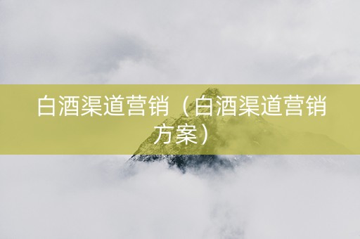白酒渠道营销（白酒渠道营销方案）