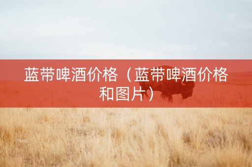 蓝带啤酒价格（蓝带啤酒价格和图片）