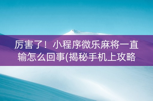 厉害了！小程序微乐麻将一直输怎么回事(揭秘手机上攻略插件)