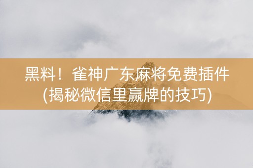 黑料！雀神广东麻将免费插件(揭秘微信里赢牌的技巧)