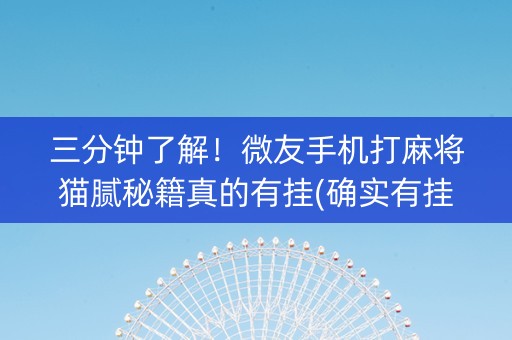 三分钟了解！微友手机打麻将猫腻秘籍真的有挂(确实有挂吗)