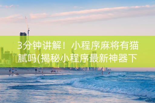 3分钟讲解！小程序麻将有猫腻吗(揭秘小程序最新神器下载)