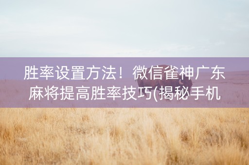 胜率设置方法！微信雀神广东麻将提高胜率技巧(揭秘手机上胡牌技巧)