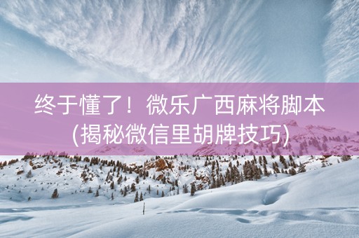 终于懂了！微乐广西麻将脚本(揭秘微信里胡牌技巧)