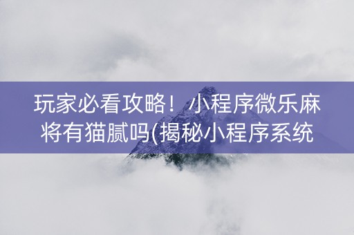 玩家必看攻略！小程序微乐麻将有猫腻吗(揭秘小程序系统发好牌)