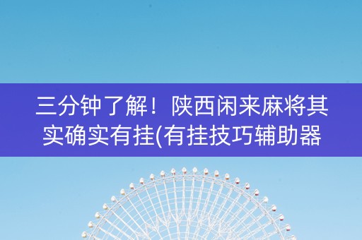 三分钟了解！陕西闲来麻将其实确实有挂(有挂技巧辅助器)