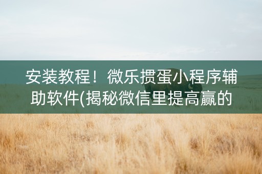 安装教程！微乐掼蛋小程序辅助软件(揭秘微信里提高赢的概率)