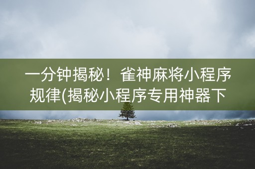 一分钟揭秘！雀神麻将小程序规律(揭秘小程序专用神器下载)