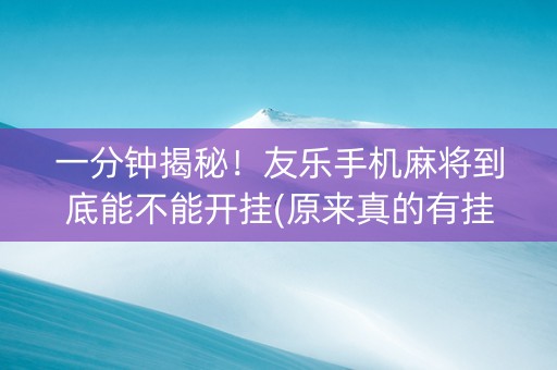 一分钟揭秘！友乐手机麻将到底能不能开挂(原来真的有挂)