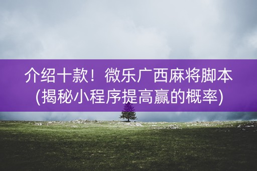 介绍十款！微乐广西麻将脚本(揭秘小程序提高赢的概率)