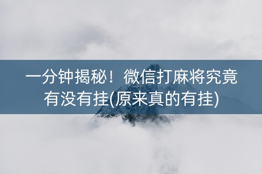 一分钟揭秘！微信打麻将究竟有没有挂(原来真的有挂)