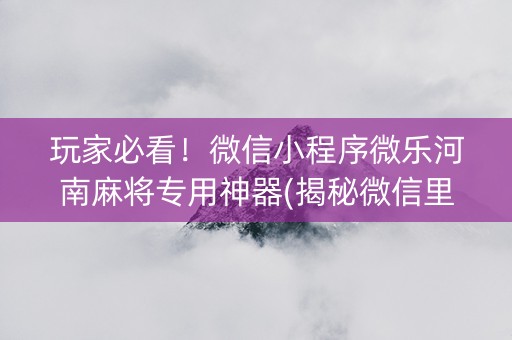 玩家必看！微信小程序微乐河南麻将专用神器(揭秘微信里提高胜率)