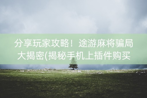 分享玩家攻略！途游麻将骗局大揭密(揭秘手机上插件购买)