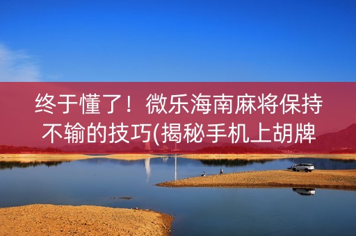 终于懂了！微乐海南麻将保持不输的技巧(揭秘手机上胡牌技巧)