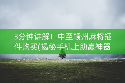 3分钟讲解！中至赣州麻将插件购买(揭秘手机上助赢神器)