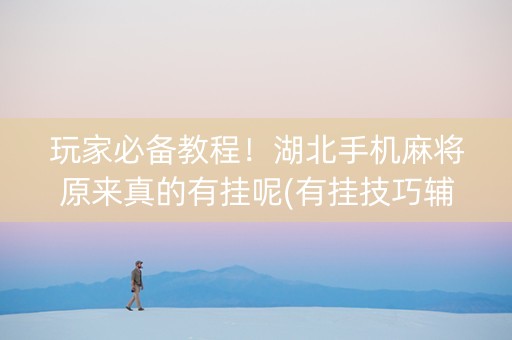 玩家必备教程！湖北手机麻将原来真的有挂呢(有挂技巧辅助器)