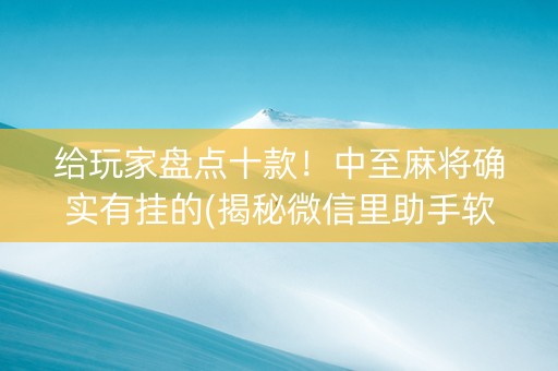 给玩家盘点十款！中至麻将确实有挂的(揭秘微信里助手软件)