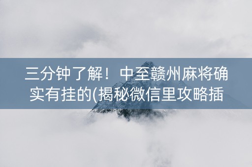 三分钟了解！中至赣州麻将确实有挂的(揭秘微信里攻略插件)