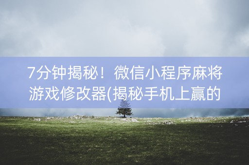 7分钟揭秘！微信小程序麻将游戏修改器(揭秘手机上赢的诀窍)