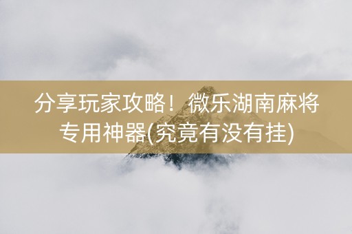 分享玩家攻略！微乐湖南麻将专用神器(究竟有没有挂)