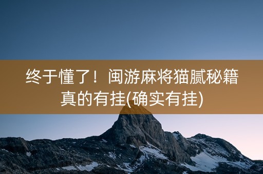 终于懂了！闽游麻将猫腻秘籍真的有挂(确实有挂)