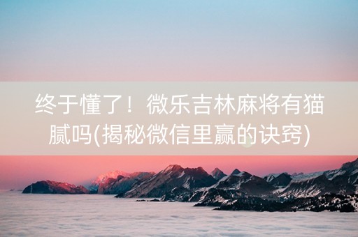 终于懂了！微乐吉林麻将有猫腻吗(揭秘微信里赢的诀窍)