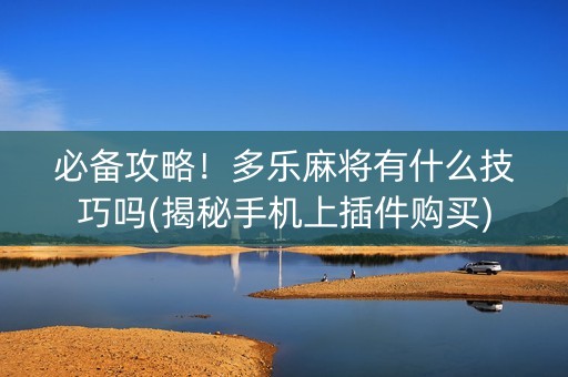 必备攻略！多乐麻将有什么技巧吗(揭秘手机上插件购买)