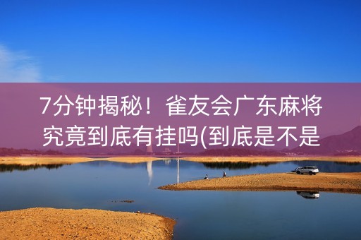 7分钟揭秘！雀友会广东麻将究竟到底有挂吗(到底是不是有挂)