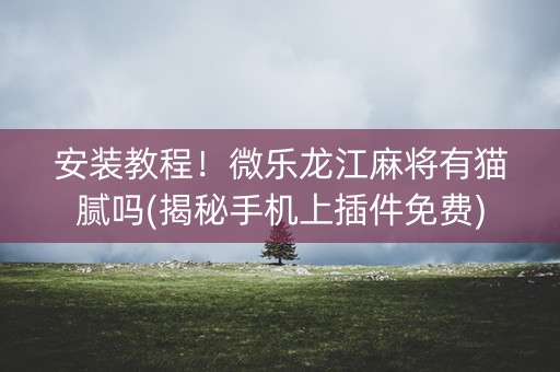 安装教程！微乐龙江麻将有猫腻吗(揭秘手机上插件免费)