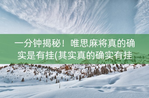 一分钟揭秘！唯思麻将真的确实是有挂(其实真的确实有挂)