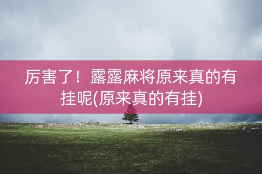 厉害了！露露麻将原来真的有挂呢(原来真的有挂)