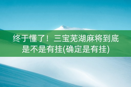 终于懂了！三宝芜湖麻将到底是不是有挂(确定是有挂)