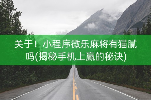 关于！小程序微乐麻将有猫腻吗(揭秘手机上赢的秘诀)