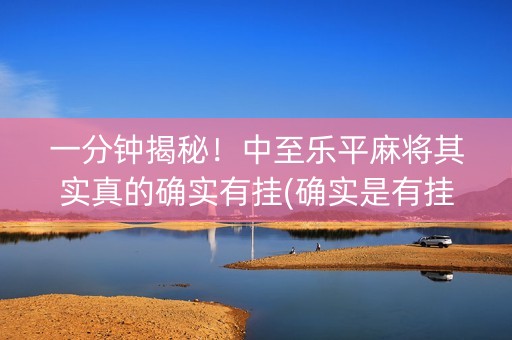 一分钟揭秘！中至乐平麻将其实真的确实有挂(确实是有挂的)