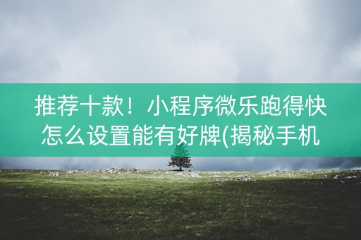 推荐十款！小程序微乐跑得快怎么设置能有好牌(揭秘手机上提高胜率)
