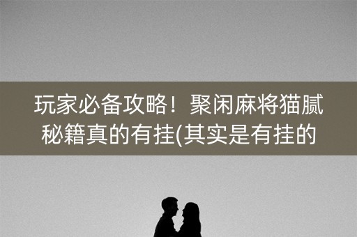 玩家必备攻略！聚闲麻将猫腻秘籍真的有挂(其实是有挂的)