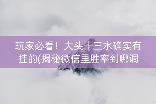 玩家必看！大头十三水确实有挂的(揭秘微信里胜率到哪调)
