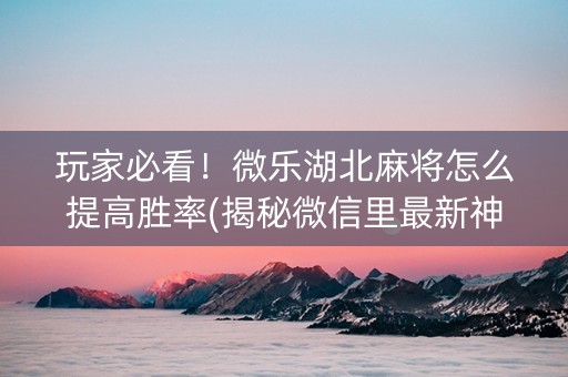 玩家必看！微乐湖北麻将怎么提高胜率(揭秘微信里最新神器下载)